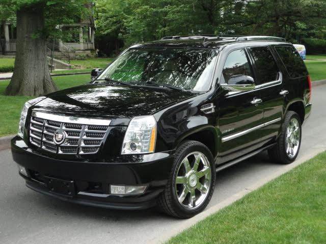 Used Car - 2010 Cadillac Escalade Premium AWD for Sale in Staten Island, NY