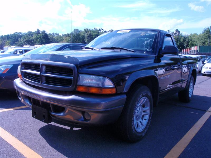 Used Car - 2002 Dodge Dakota for Sale in Brooklyn, NY