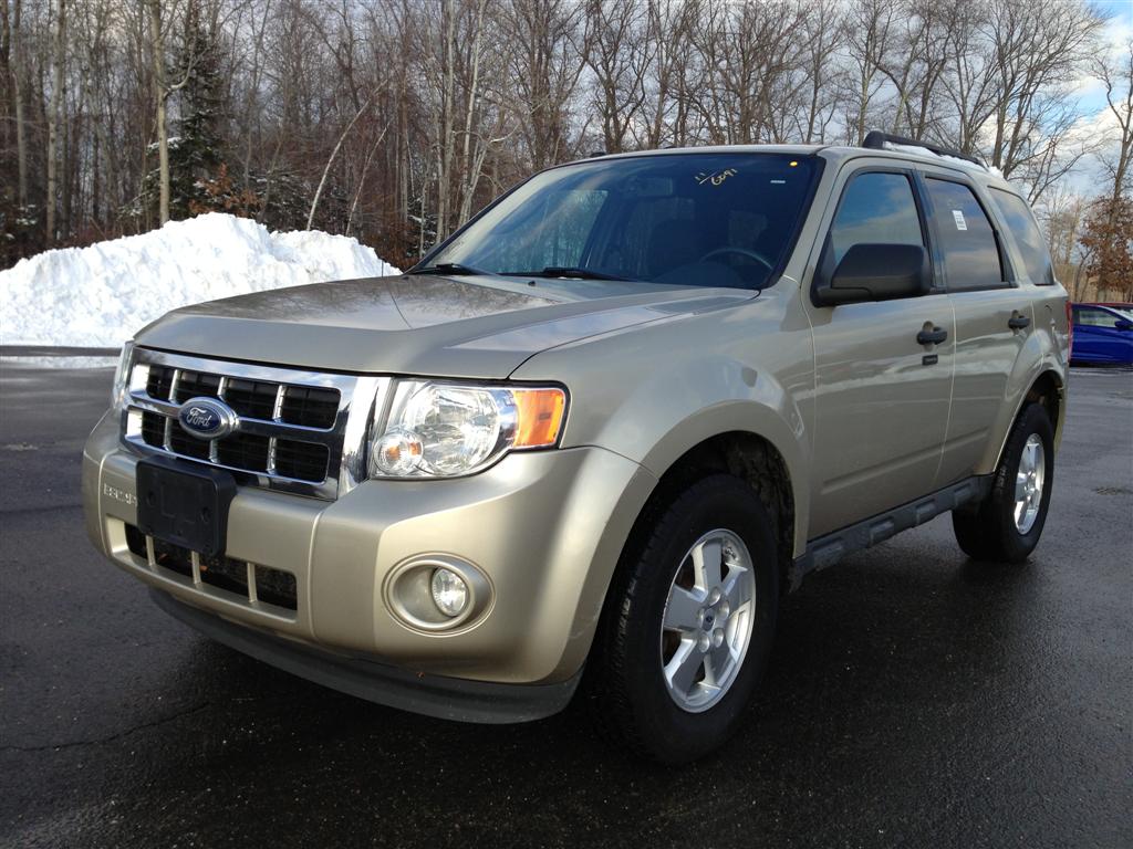 Used Car - 2011 Ford Escape for Sale in Brooklyn, NY