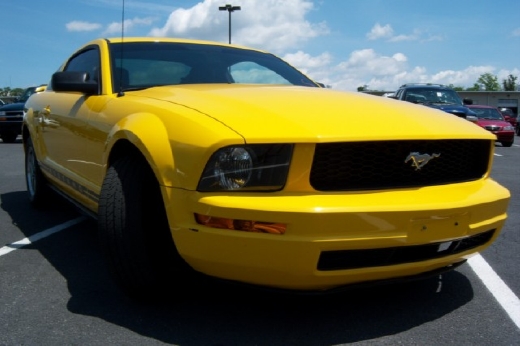 Used - Ford Mustang 2 Door Coupe  for sale in Staten Island NY