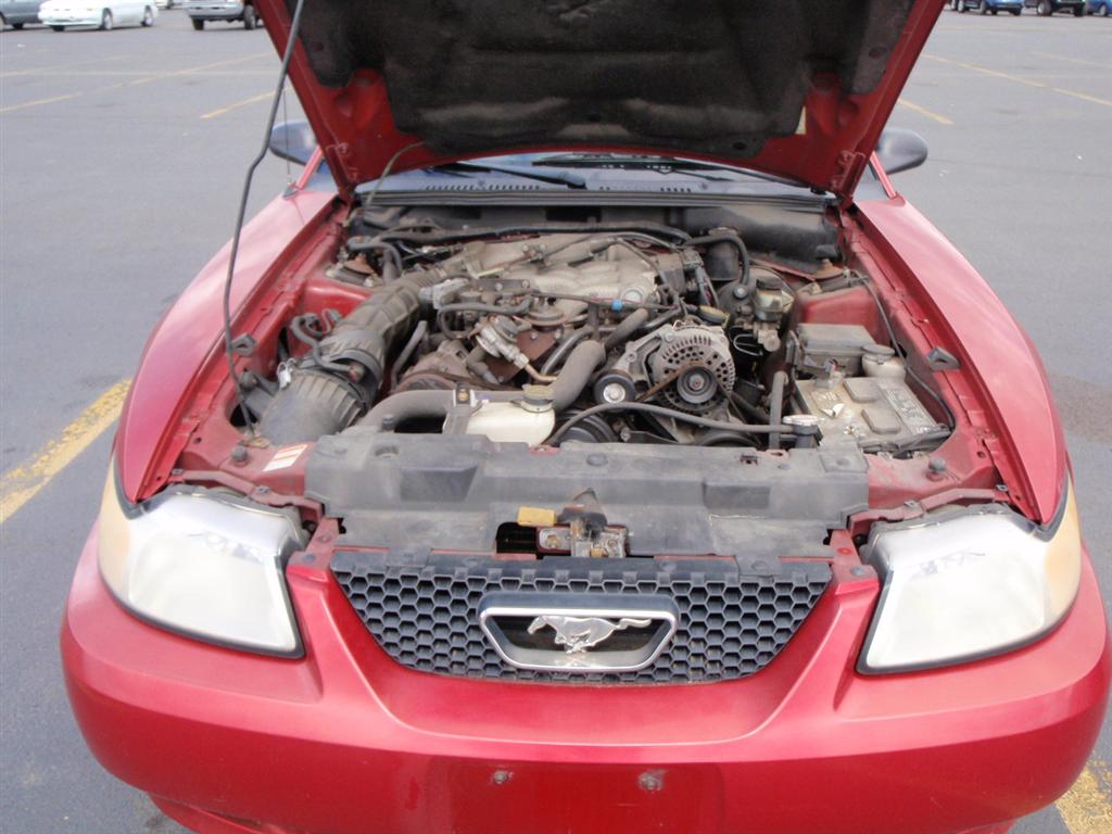 2000 Ford Mustang Coupe for sale in Brooklyn, NY