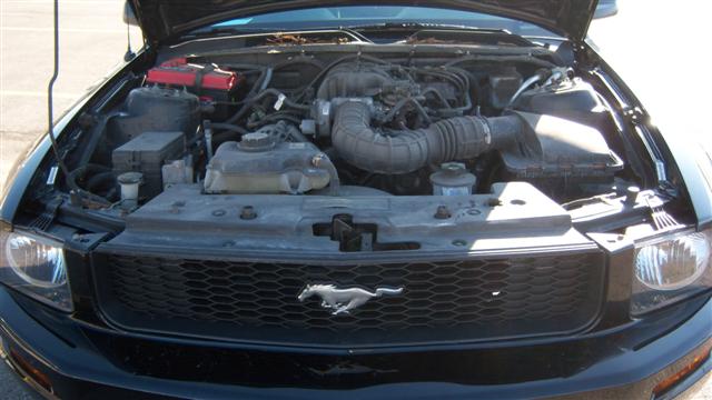 2007 Ford Mustang Coupe for sale in Brooklyn, NY