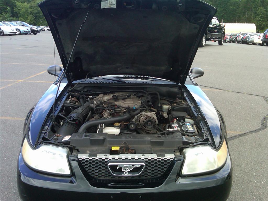 2000 Ford Mustang Coupe for sale in Brooklyn, NY