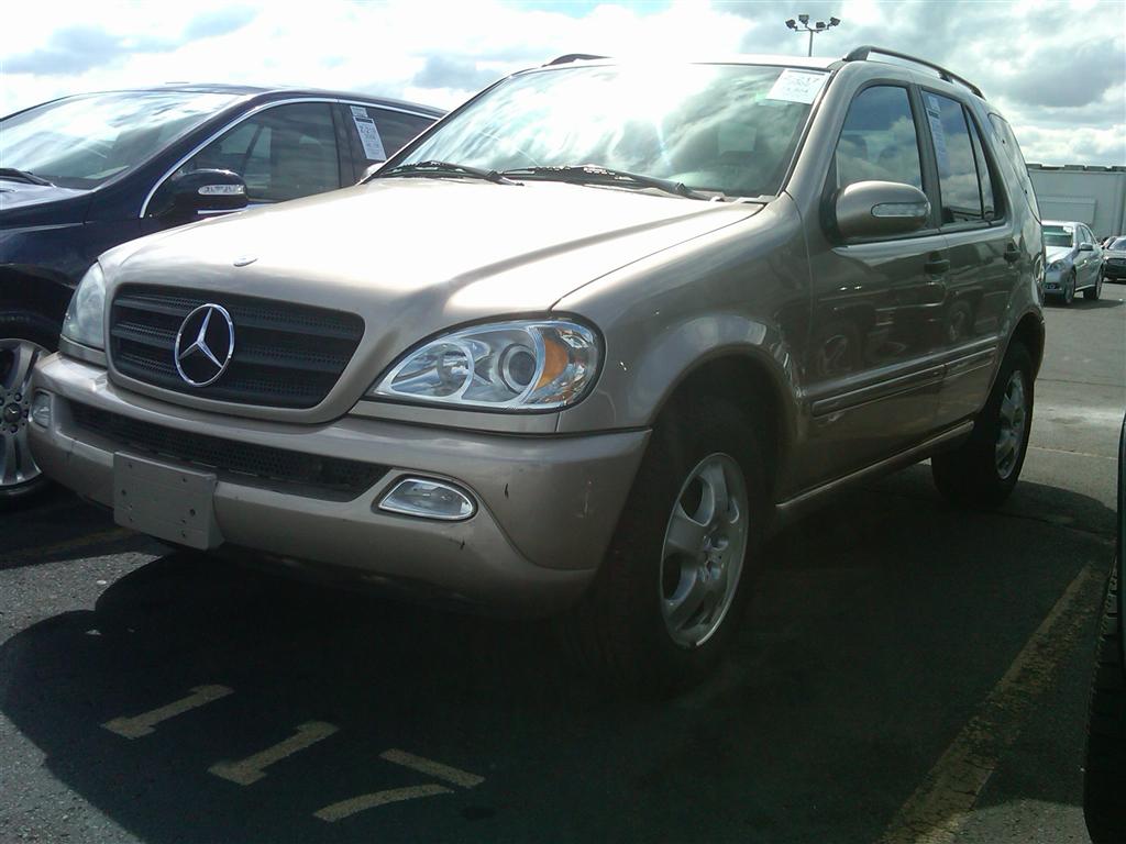 2002 Mercedes-Benz ML320 Sport Utility for sale in Brooklyn, NY