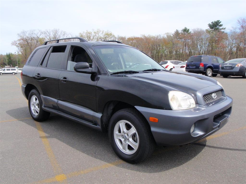 2004 Hyundai Santa Fe GLS Sport Utility for sale in Brooklyn, NY